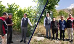 Hökelekli, Üzümlü’de Tarımsal Çalışmaları İnceledi