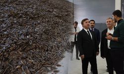 Ayçiçeği İşleme Tesisinde Günlük 100 Ton Üretim Hedefi