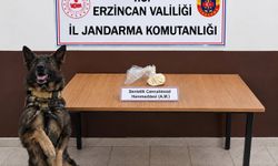 Erzincan'da bonzai hammaddesi ve skunk ele geçirildi