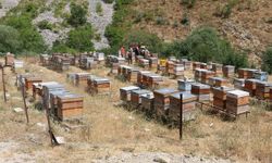 Arıcılık Destekleme Takvimi Güncellendi: Son Başvuru 6 Kasım