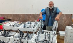 Erzincan’da Palamut Tezgahta Durmuyor