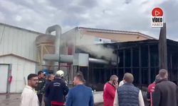 OSB’deki Pelet Fabrikasında Yangın