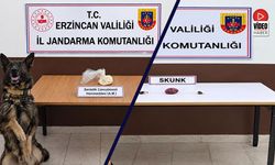 Erzincan'da Bonzai Hammaddesi ve Skunk Ele Geçirildi