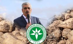Erzincan’da Pancar Alım Fiyatı İçin İyileştirme Beklentisi