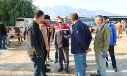 Erzincan’da Hayvan Pazarında Şap Aşısı Uyarısı