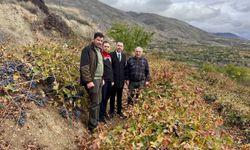 Kaymakam Hökelekli’den Üzüm Üreticisine Ziyaret