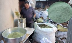 Kemaliye’de Bir Avuç Zetrin’in Ardında Aylarca Süren Emek Var
