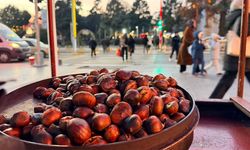 Erzincan’da Kışın Habercisi Kestane Satışta