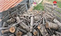 Köylerde Kışlık Odun Hazırlığı Sürüyor