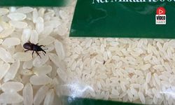 Erzincan’da Pirinç Paketinden Böcek Çıktı!