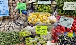 TZOB Verileri Açıklandı: Erzincan Pazarında Fiyatlar Ne Durumda?