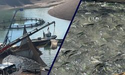 Tercan Baraj Gölü'nde Su Ürünleri Üretimi Büyüyor