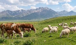 Atık Desteğinde Yeni Düzenleme Resmî Gazete’de Yayımlandı