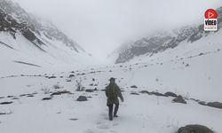 Erzincan'da Hava Soğudu, Zirvelere Kar Yağdı