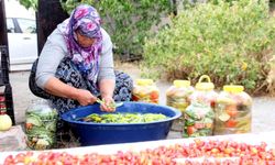 Kadınların turşu mesaisi başladı