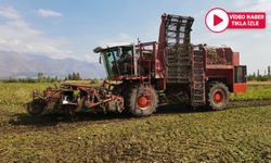 Pancar Hasadında Teknoloji Yardımı