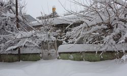 Bitlis’te tek katlı evler ve arabalar kara gömüldü