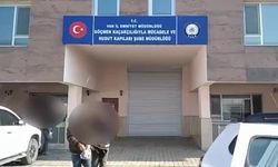 Vanda 5 organizatör tutuklandı