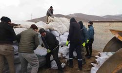 Ağrı’dan deprem bölgesine mısır silajları gönderildi