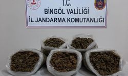 Bingöl’de 3 kilo esrar ele geçirildi: 2 gözaltı