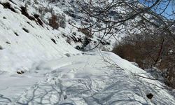 Hakkari’de 13 yerleşim yerinin yolu kapandı