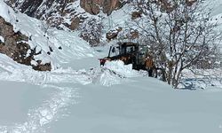 Hakkari’de 61 köy ve mezra yolu kapandı