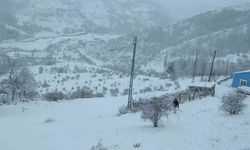 Posof’ta kar esareti