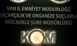 Van’da gümrük kaçakçılığı