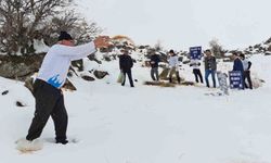 Yaban hayvanları için Süphan Dağı eteklerine yem bırakıldı