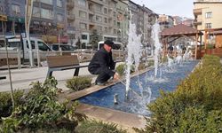 Hakkari’ye renk katan fıskiyeler yeniden devreye alındı