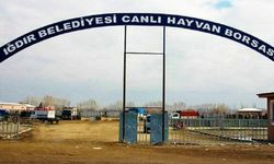 Şap hastalığından dolayı Iğdır hayvan pazarı kapatıldı