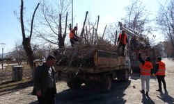 Tatvan’da park ve bahçelerde bahar temizliği