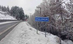 Tunceli ‘beyaz’ güne uyandı
