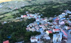 Tunceli’de 2 çocuğa cinsel istismarda bulunduğu iddia edilen şahıs tutuklandı