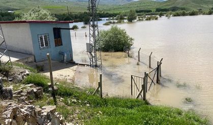Karasu Nehri taştı, ekili tarlalar sular altında kaldı