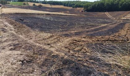 Samsun’da buğday arazisinde yangın: 200 dekar alandaki buğdaylar yandı