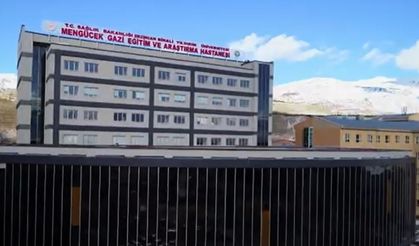 Erzincan’a 19 Hekim Atandı