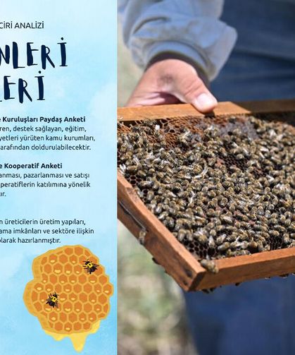 TRA1 Bölgesi'nde Arıcılığın Yol Haritası Çiziliyor