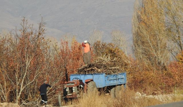 Köylerde kışlık  yakacak telaşı başladı