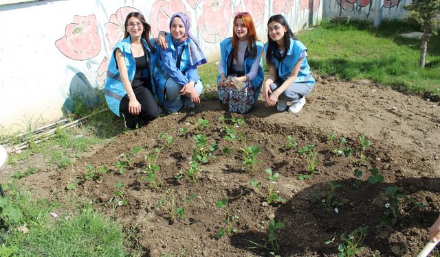 Terzi Baba Yurdu'nda Hobi Bahçesi Oluşturdular