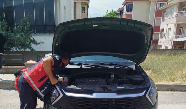 Otomobilin Motoruna Sıkışan Yavru Kediler Kurtarıldı