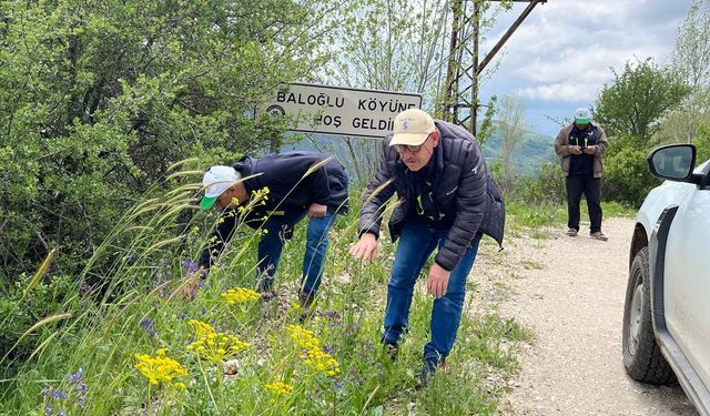 Erzincan’da Çekirgelere Karşı Mücadele Çalışması Başlatıldı