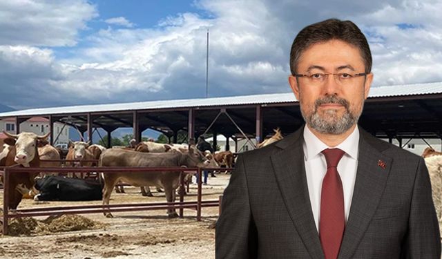 Kurbanlıklar Elde Kalmayacak, ESK Satın Alacak