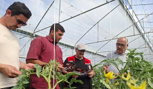 Erzincan’da Pestisit Denetimleri Sıkılaştırıldı