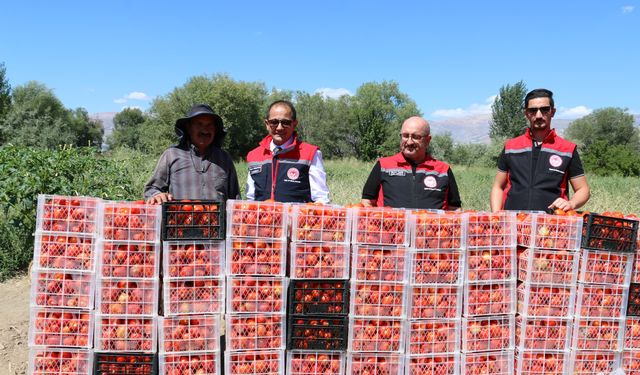 Erzincan’ın Yerli Sebzeleri Sofraları Süslüyor