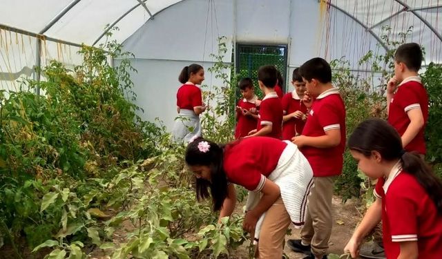 Erzincan’da öğrenciler serada kış sebzelerinin ekimine başladı