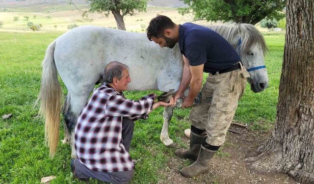 Kemaliye’nin son nalbant ustası yarım asırdır mesleğini sürdürüyor