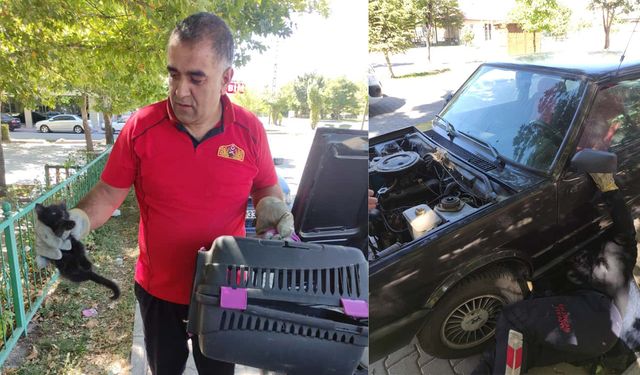 Otomobilin Kaputuna Sıkışan Kedi Kurtarıldı