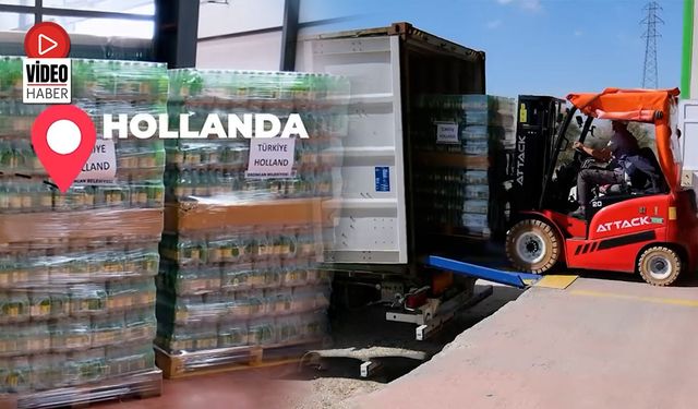 Erzincan Bögert Madensuyu Hollanda’ya İhraç Ediliyor