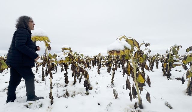 Bu Profesörün Yaptığını Bir Tek Kendisi Anlıyor